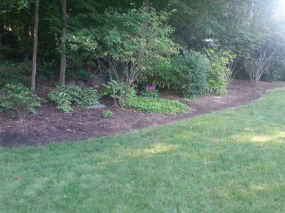 Landscaping