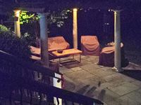 Landscape down lighting